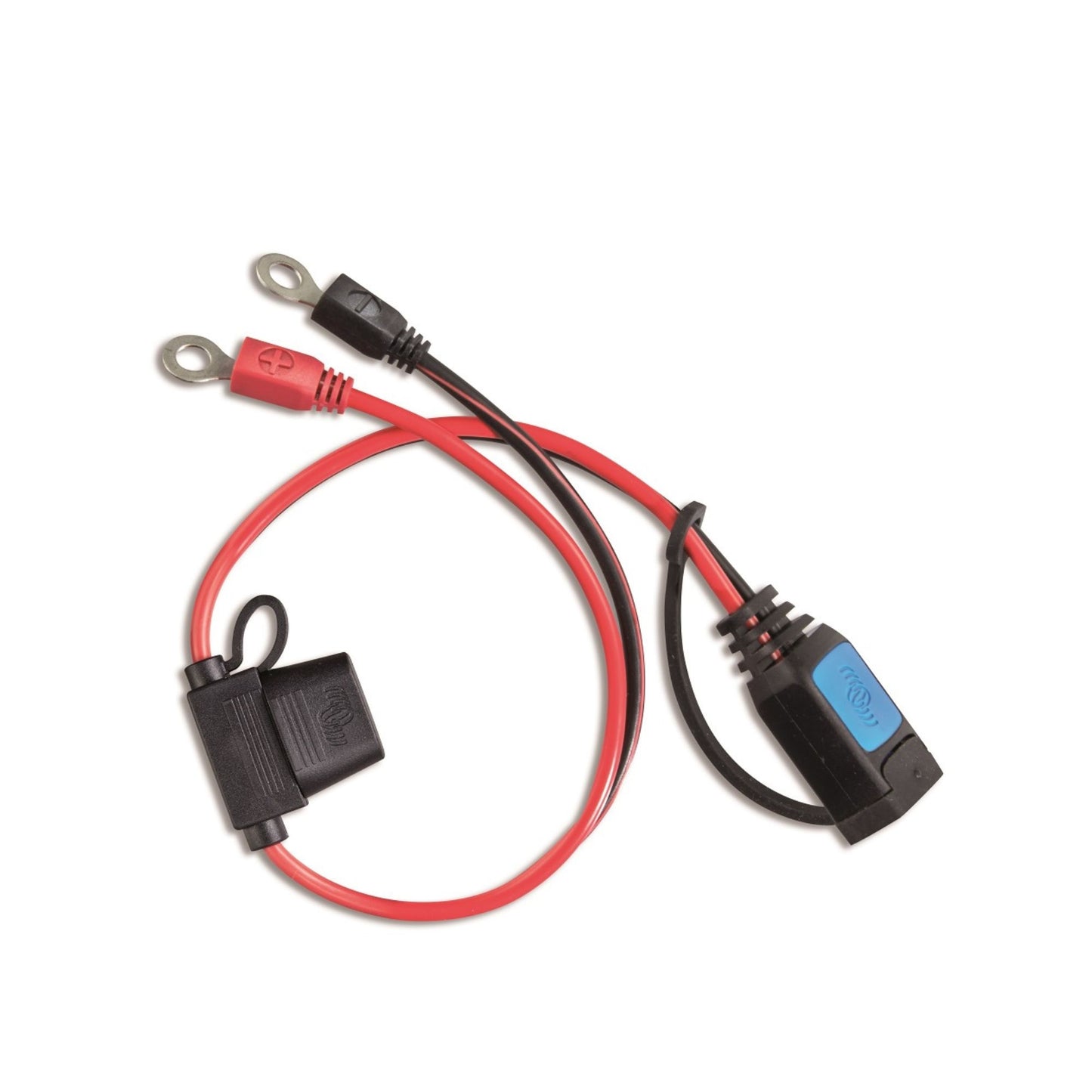 VICTRON M6/M8 EYELET CONNECTOR (WITH 30A ATO FUSE)