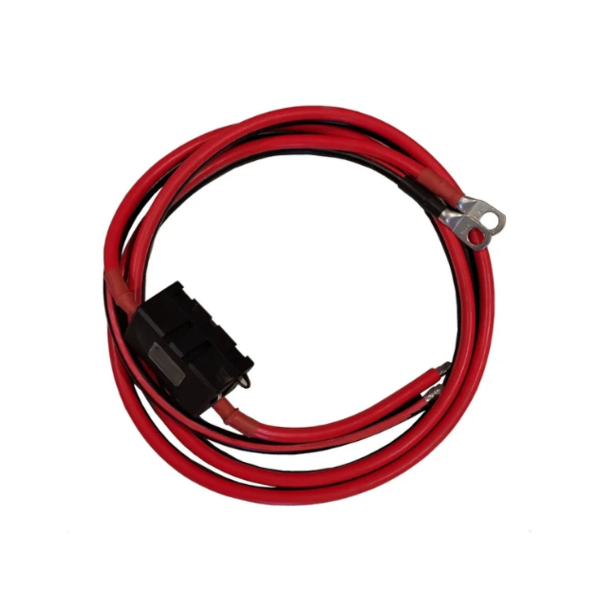 COMPLETE CABLE KIT FOR THE VICTRON IP22 12/30-1 OUTPUT BATTERY CHARGER