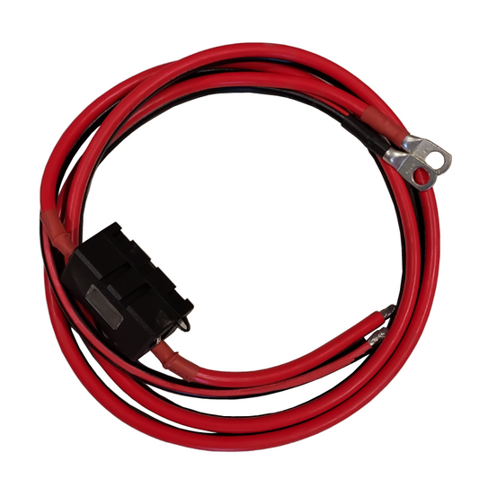 COMPLETE CABLE KIT FOR THE VICTRON IP22 12/30-1 OUTPUT BATTERY CHARGER Energy Connections